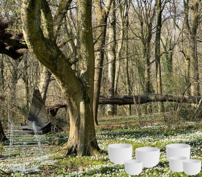 44dd0567-5438-436b-a0a5-9d3db8b6e1bb