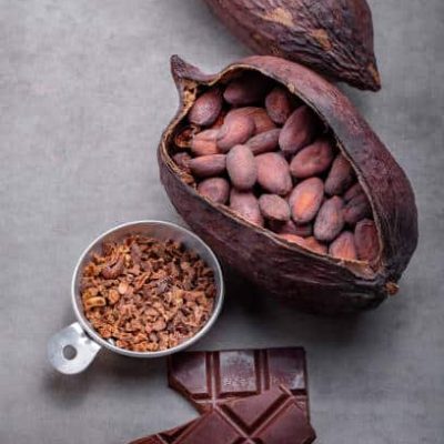 Organic cocoa beans. Ingredient for preparation chocolate on gray wooden table with copy space.