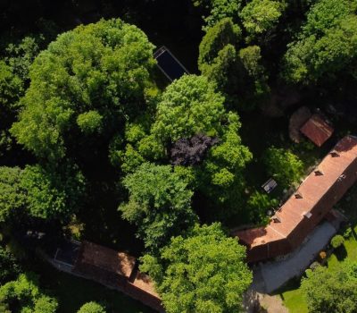 Capture d’écran 2022-06-02 à 17.12.57