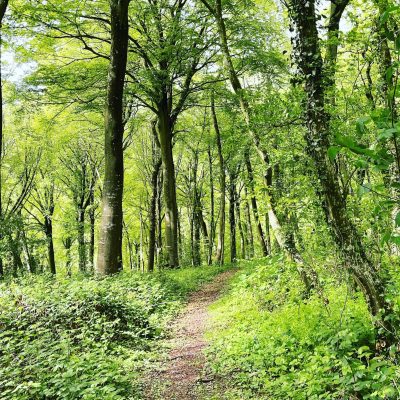 E5061133-C856-450F-BDBE-C334AEE54DB4 (3)