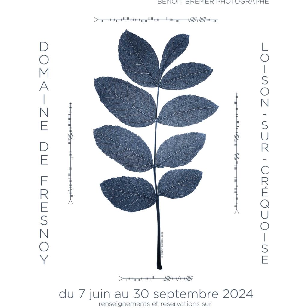 Exposition Eloquence des arbres