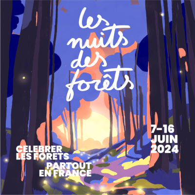 NDF_poster_carré