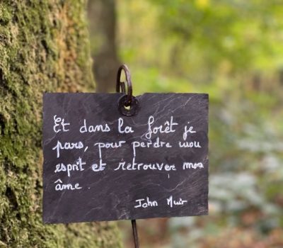 bA5Ur4xgS9ieM6gn1oToRg_thumb_7a99