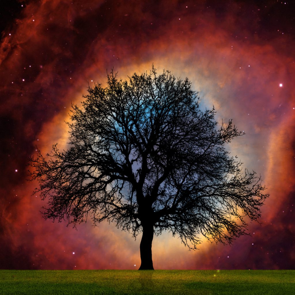 Lone,Tree,With,Supernova,Explosion,