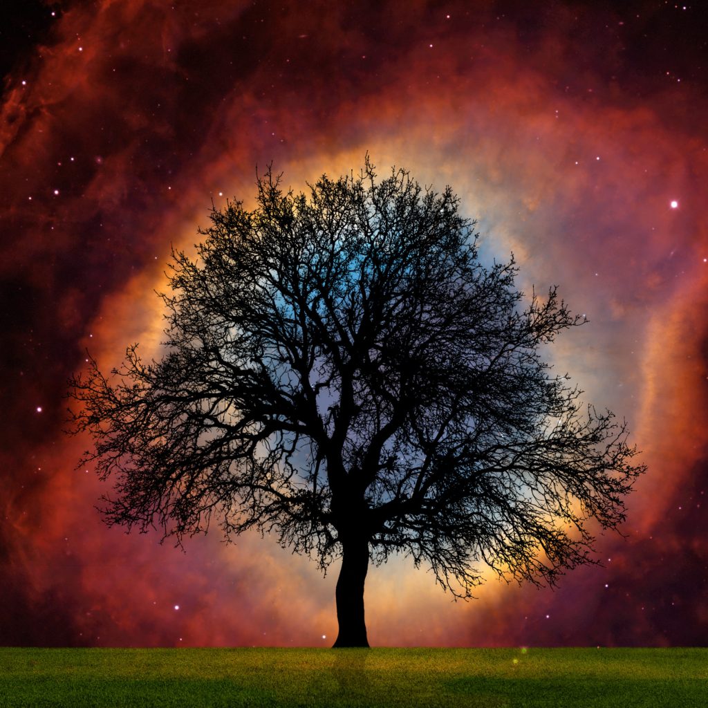 Lone,Tree,With,Supernova,Explosion, »elements,Of,This,Image,Furnished Lone,Tree,With,Supernova,Explosion,