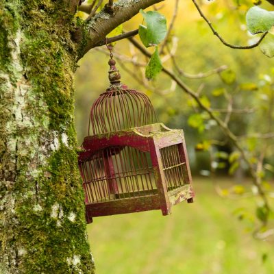 ©b.teissedre DSC_0225 copie